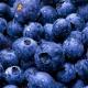 Beneficial properties of blueberries - benefits for women Frozen blueberries are good for the body
