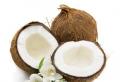 Ist Kokosnuss eine Frucht oder eine Nuss?