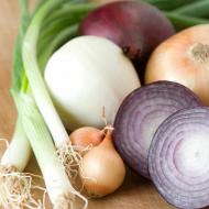 Beneficial properties, harm and contraindications for eating onions