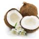 Je kokos ovoce nebo ořech?