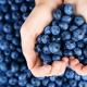Beneficial properties of blueberries - benefits for women What are the benefits of blueberry fruit drink?