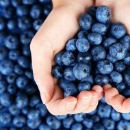 Wohltuende Eigenschaften von Blaubeeren – Vorteile für Frauen Welche Vorteile hat ein Blaubeer-Fruchtgetränk?