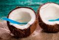 Užitečné vlastnosti kokosu, obsah kalorií - Vývoj