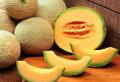 La polpa succosa del melone può essere sia benefica che dannosa per il corpo Benefici del melone per le donne
